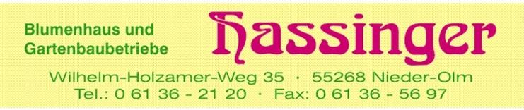 Firmenschild mit dem Text &bdquo;Blumenhaus und Gartenbaubetriebe Hassinger&ldquo; sowie Kontaktdaten und Adresse in Nieder-Olm.