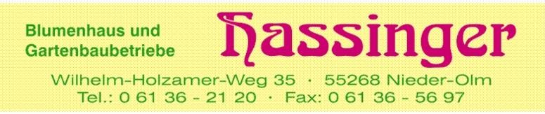 Firmenschild mit dem Text &bdquo;Blumenhaus und Gartenbaubetriebe Hassinger&ldquo; sowie Kontaktdaten und Adresse in Nieder-Olm.