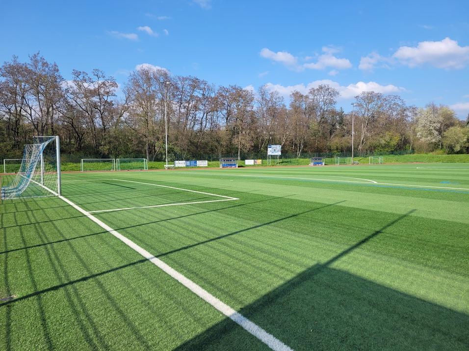 Blick auf einen Fußballplatz mit künstlichem Rasen, Toren und Bäumen im Hintergrund unter blauem Himmel.